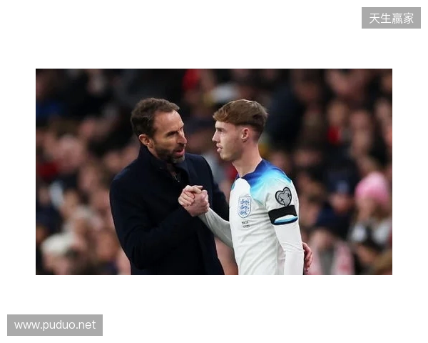 图赫尔谈10号位：一阶段考察帕尔默&福登；二阶段贝林&罗杰斯